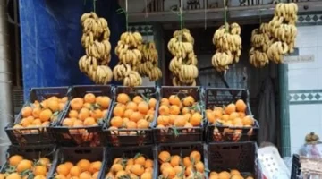 موجز الأسعار.. البطاطس بـ 12.5 جنيه والخضروات مستقرة في بورسعيد